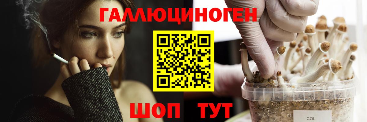 Галлюциногенные грибы прущие грибы Асбест